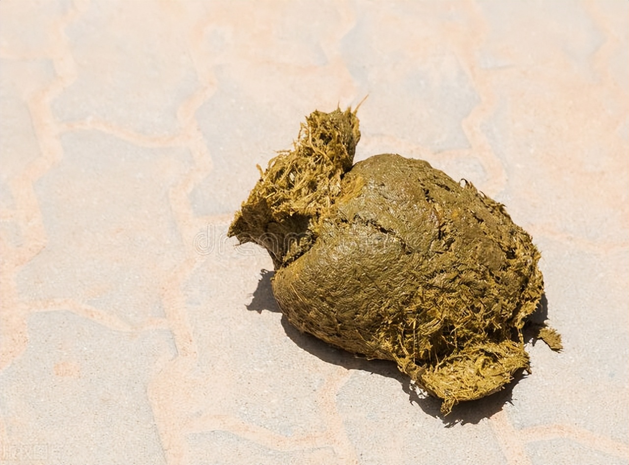 大便中有未消化的菜叶和食物,大便有菜叶食物未消化怎么治疗