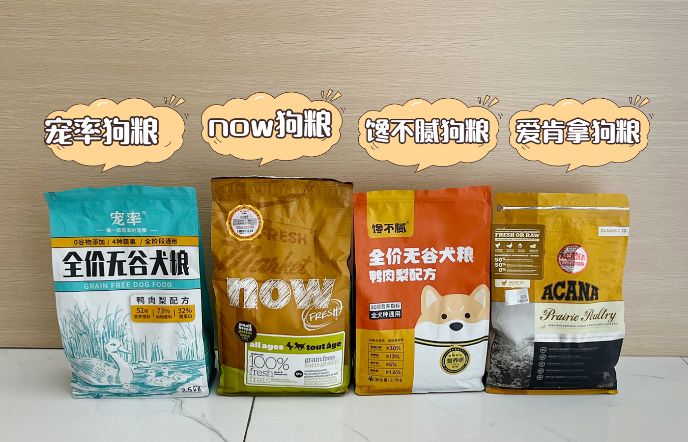 泰迪到底能不能养,为什么说泰迪很不好养呢