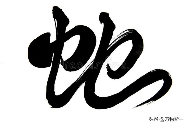 一过40岁就转运的生肖从此富起来,这3大生肖40岁后必能发家致富