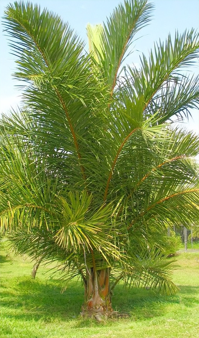 现代时尚生态木门风格,现代自然门