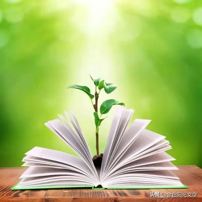 小小动物园日记100字,二年级动物园观察日记