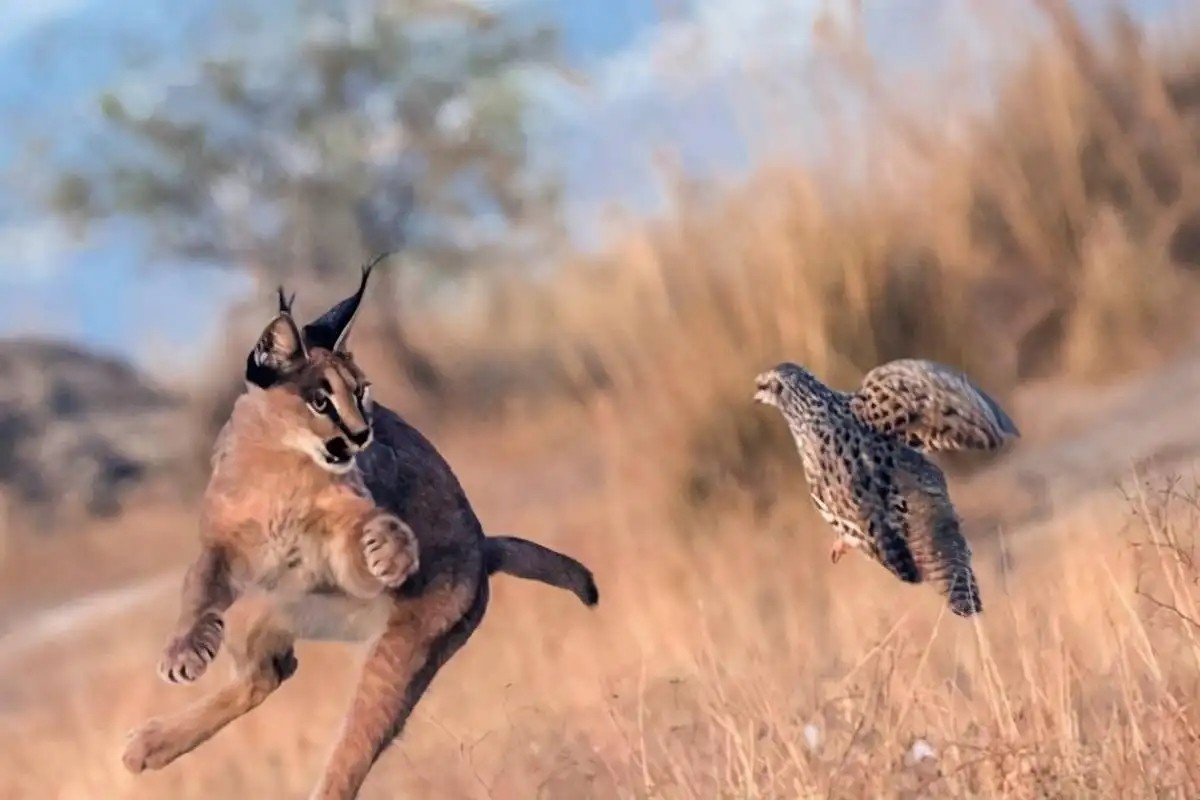 可爱的外表下藏小恶魔,可爱的外表下邪恶的心灵