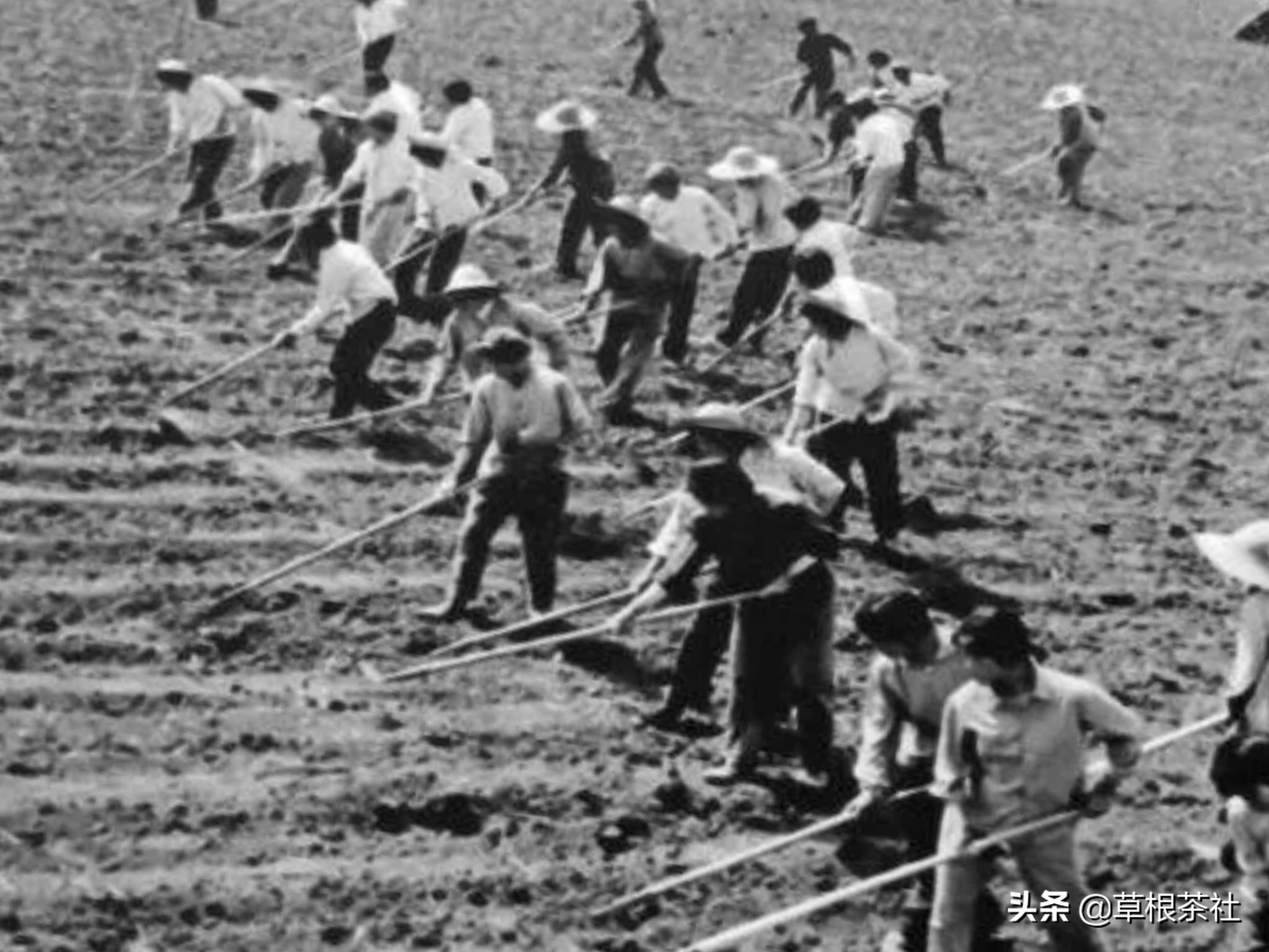 知青往事是下乡的经历,知青往事回忆下乡