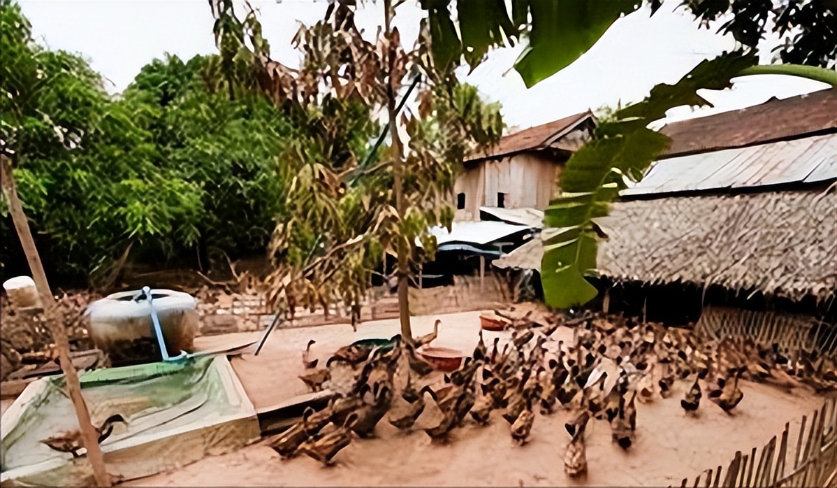 如果你突然被蛇吞下，能否划开蛇肚出逃？科学家作死实验走进蛇窝