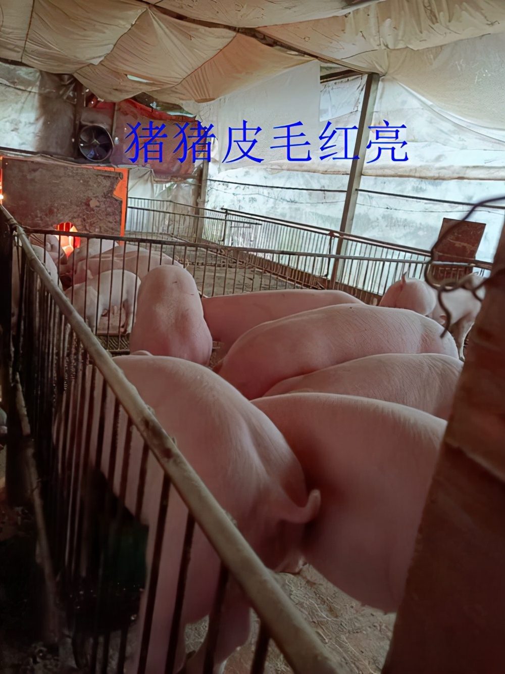 疫情反复波动下，看看这位老板是怎样做到稳步向前的？