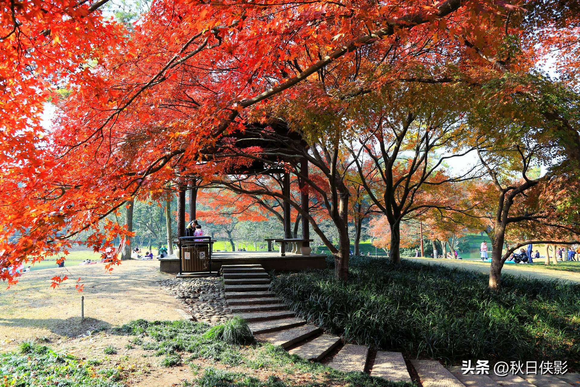 杭州秋天看枫叶最佳地点,杭州进入最佳赏枫季