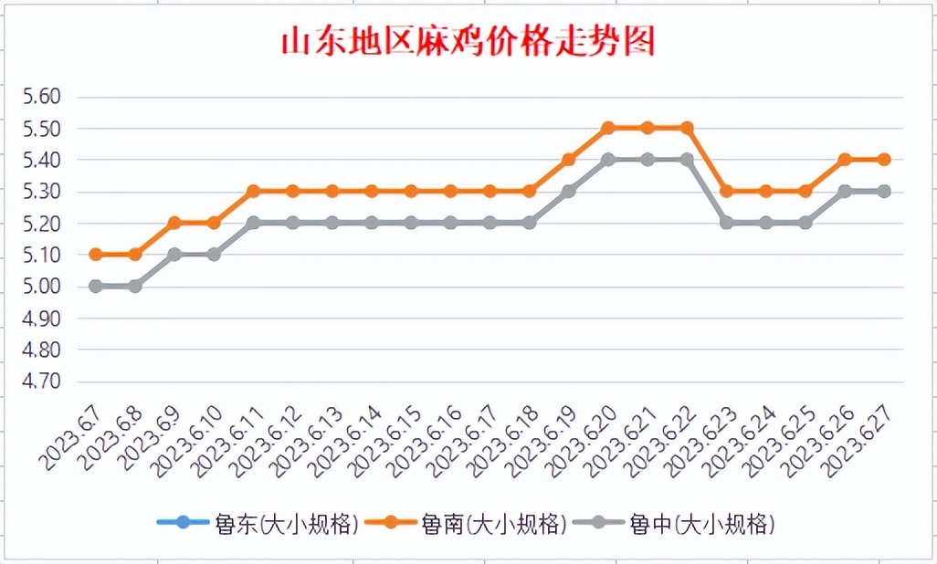 今日青脚麻土鸡苗价格多少,优质青麻小鸡苗销售