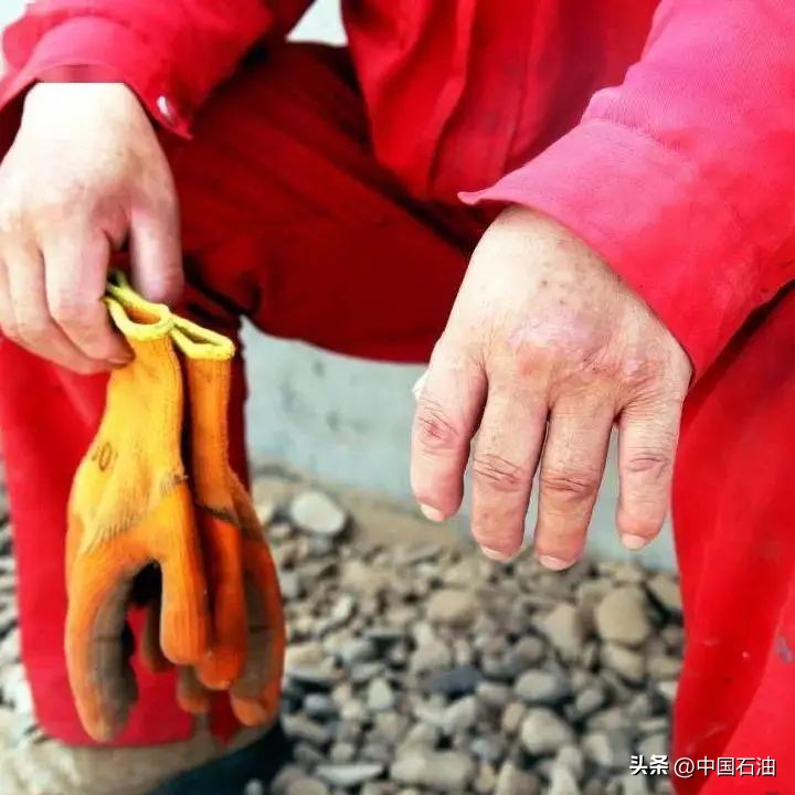 特别策划案例,特别策划系列