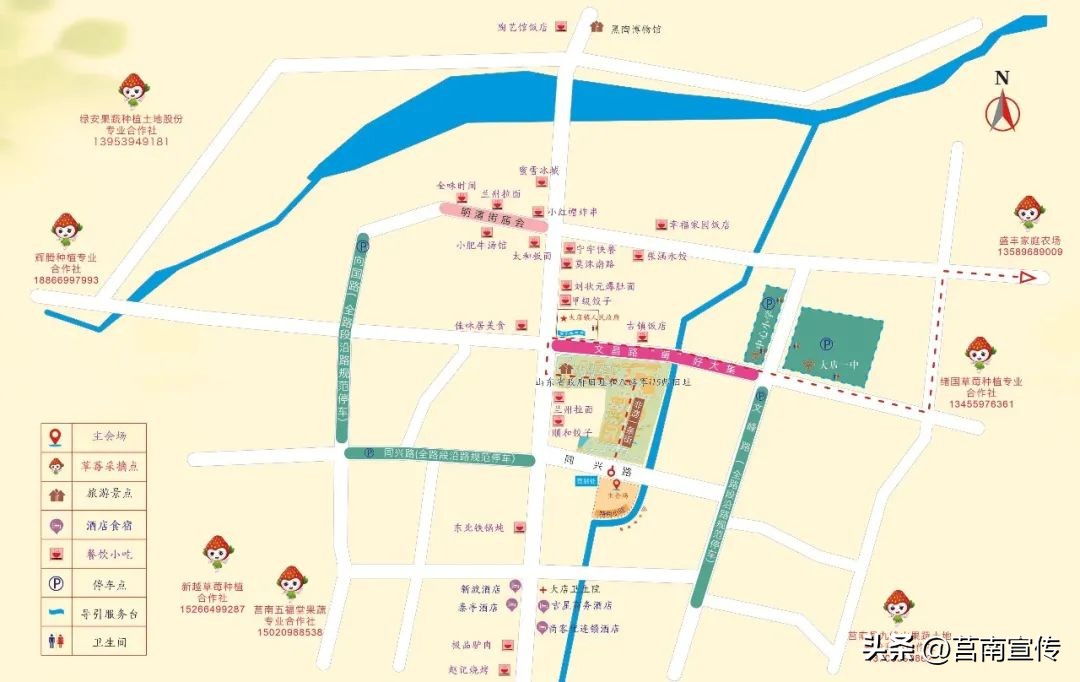 临沂大店摘草莓,约起来隆化第三届嘉年华