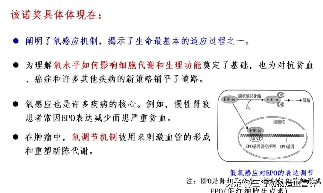 华南农业大学专家:氧气不仅是呼吸,还是一种营养