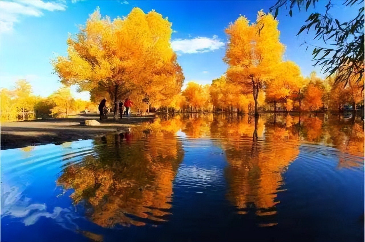 【临夏林草文化】科普篇‖胡杨铁骨千年铸，沧桑燃尽度春秋