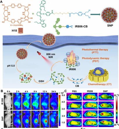 PXG/H13在非共价相互作用下，是如何有效阻止PXG反应的
