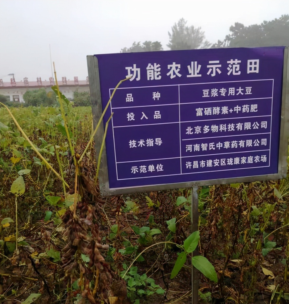 富硒酵素种植技术视频,富硒食品的形成