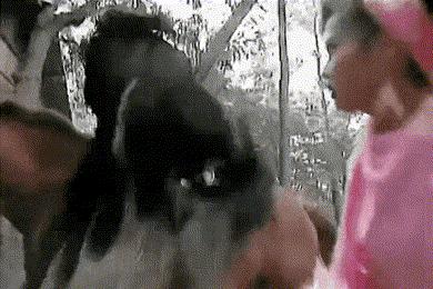 打脸的男明星,打脸娱乐圈