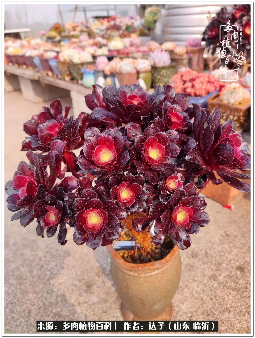 活在当下珍惜眼前平凡的生活,活在当下感慨万千