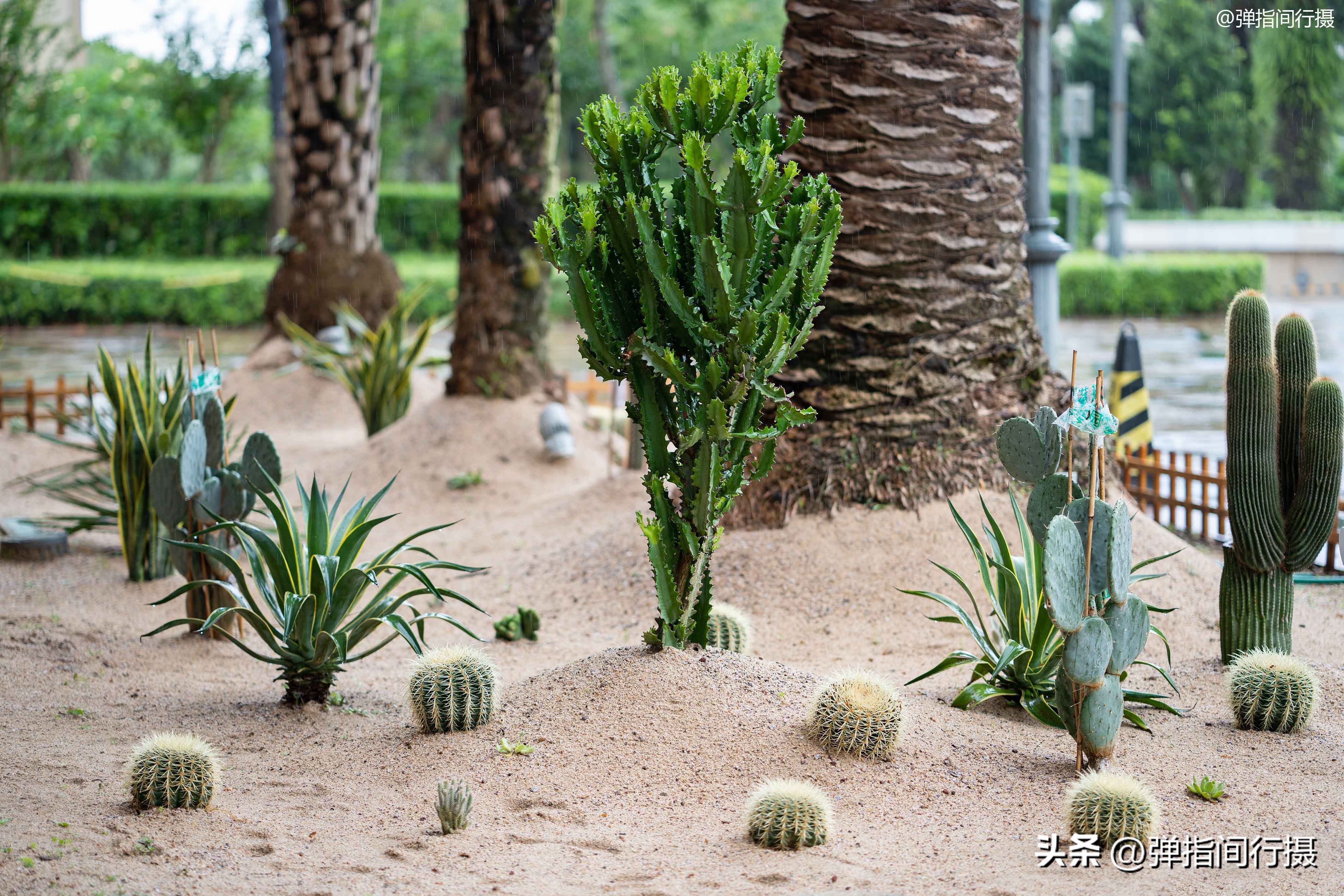 阿拉伯超奢华顶级宫殿,阿联酋奢华宫殿