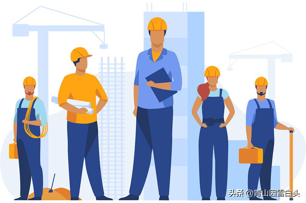 种树经济价值,种树前景如何发展