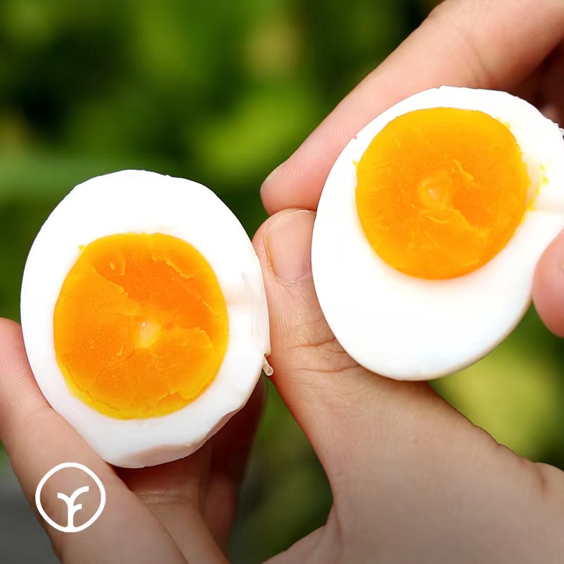有机鸡蛋土鸡蛋,有机鸡蛋和土鸡蛋的区别