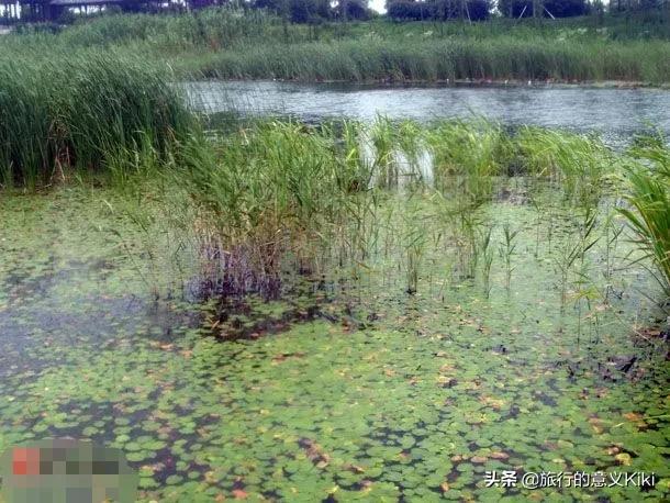 上海自驾西山旅游攻略,苏州东山一日游自驾游最佳路线图
