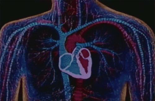 感觉心脏突然咯噔几下跳到嗓子,突然听到声音心脏就咯噔一下很慌