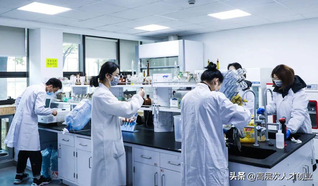 浙江树人大学教师招聘待遇,浙江树人学院高层次人才2024