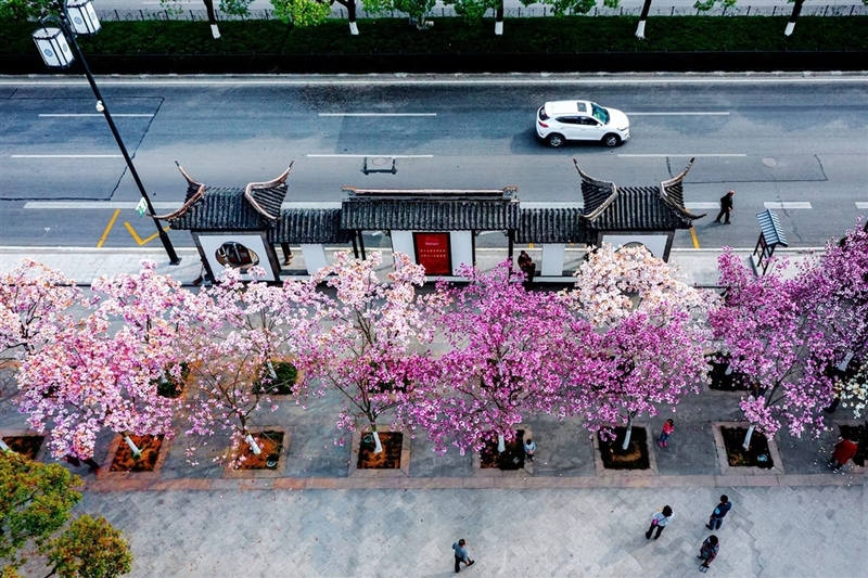 中国最美的苏州图片,最美中国大美苏州