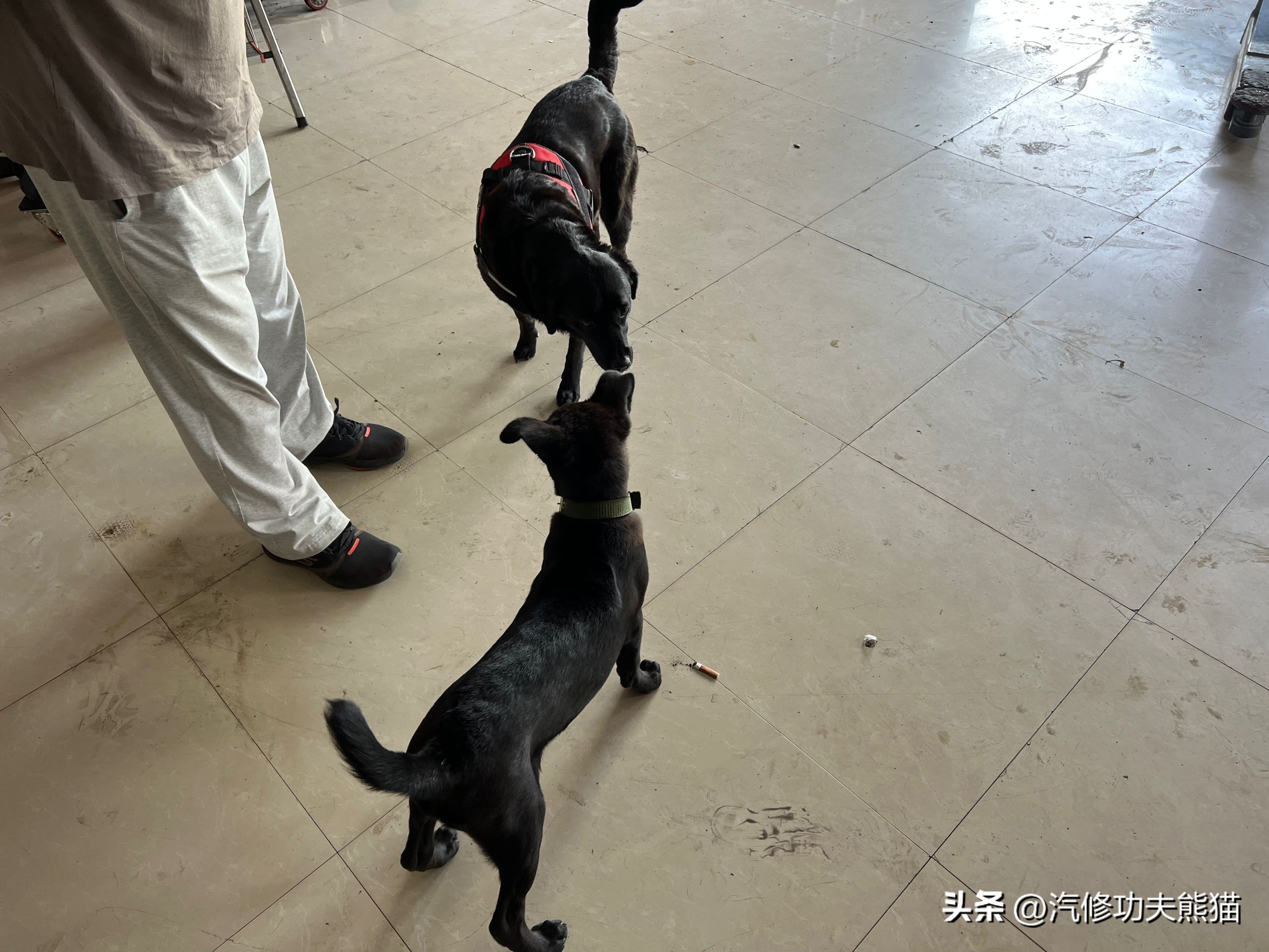 奥迪q3用什么机油最合适,奥迪q3用壳牌什么机油