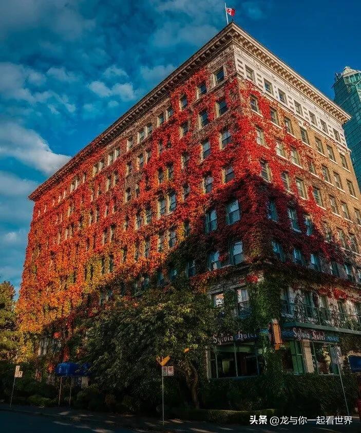 外国人亲身经历的奇怪的事情,出国旅游的人真实感受