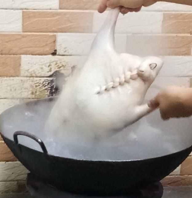 广东烧腊名菜脆皮烧鹅，鹅香飘香万里，一味足倾城