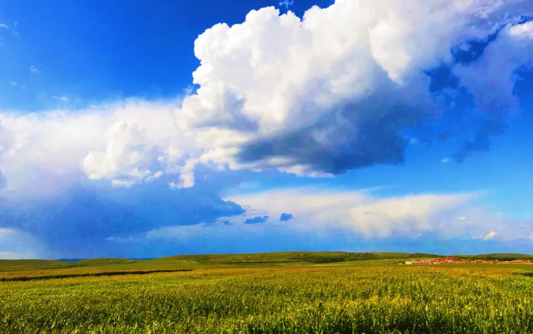 示范家庭农场申报推荐表填写,家庭农场财务网上申报怎么报