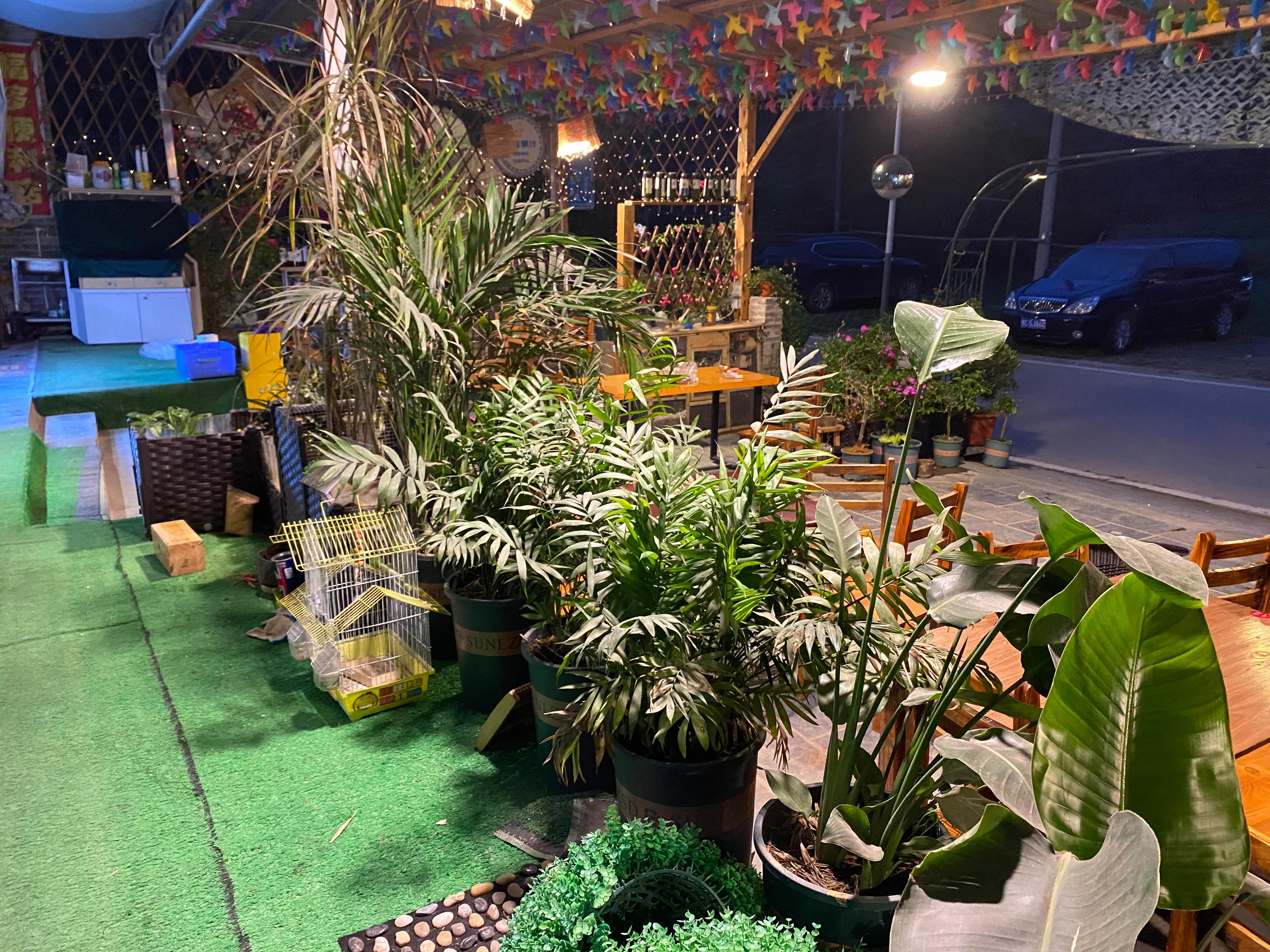 如何打造一个四季有景的庭院花园,如何打造一个四季花开的庭院