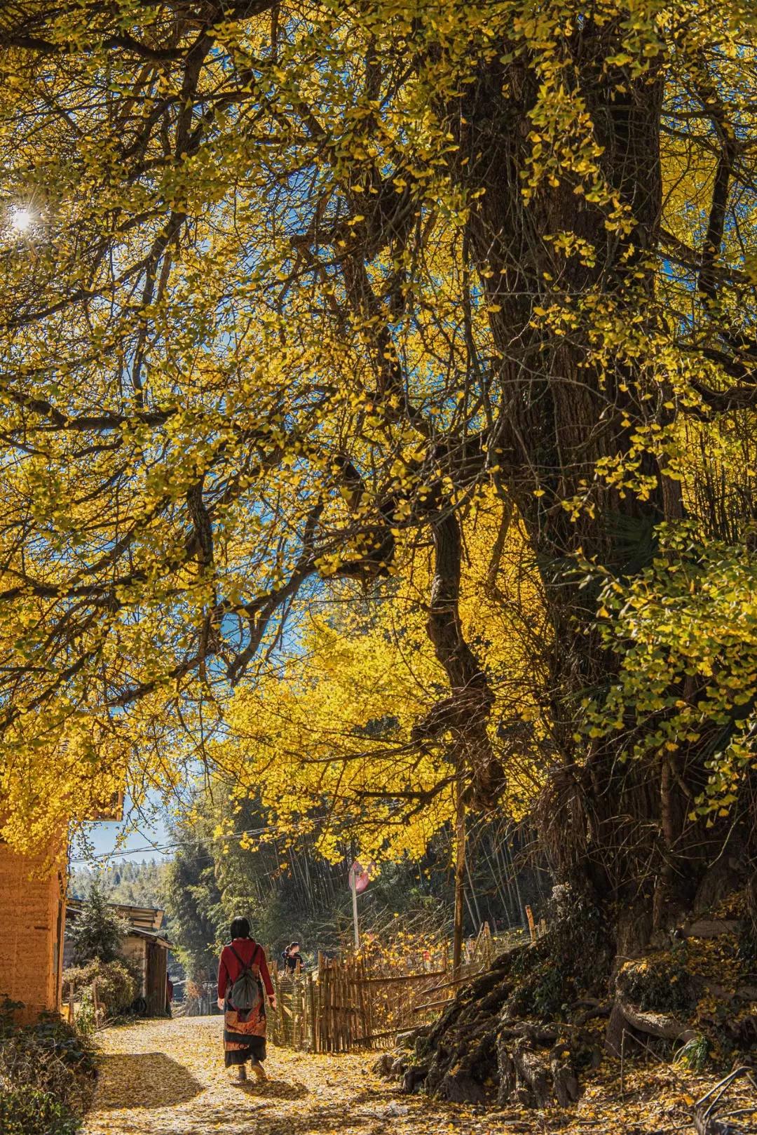 三明建宁攻略,三明建宁一日游最佳路线