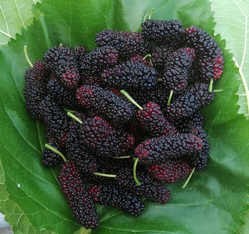 春季养生的关键是什么,春季怎么解决春困