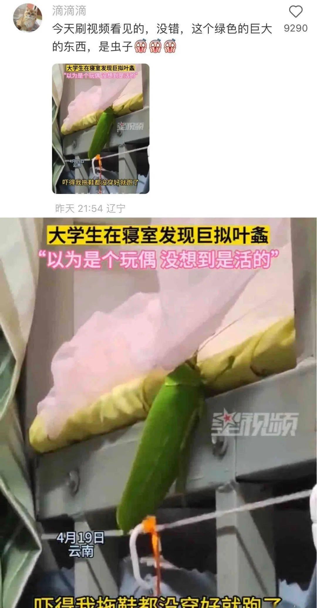 花了1000块钱拍艺术照,花了900元拍的照片