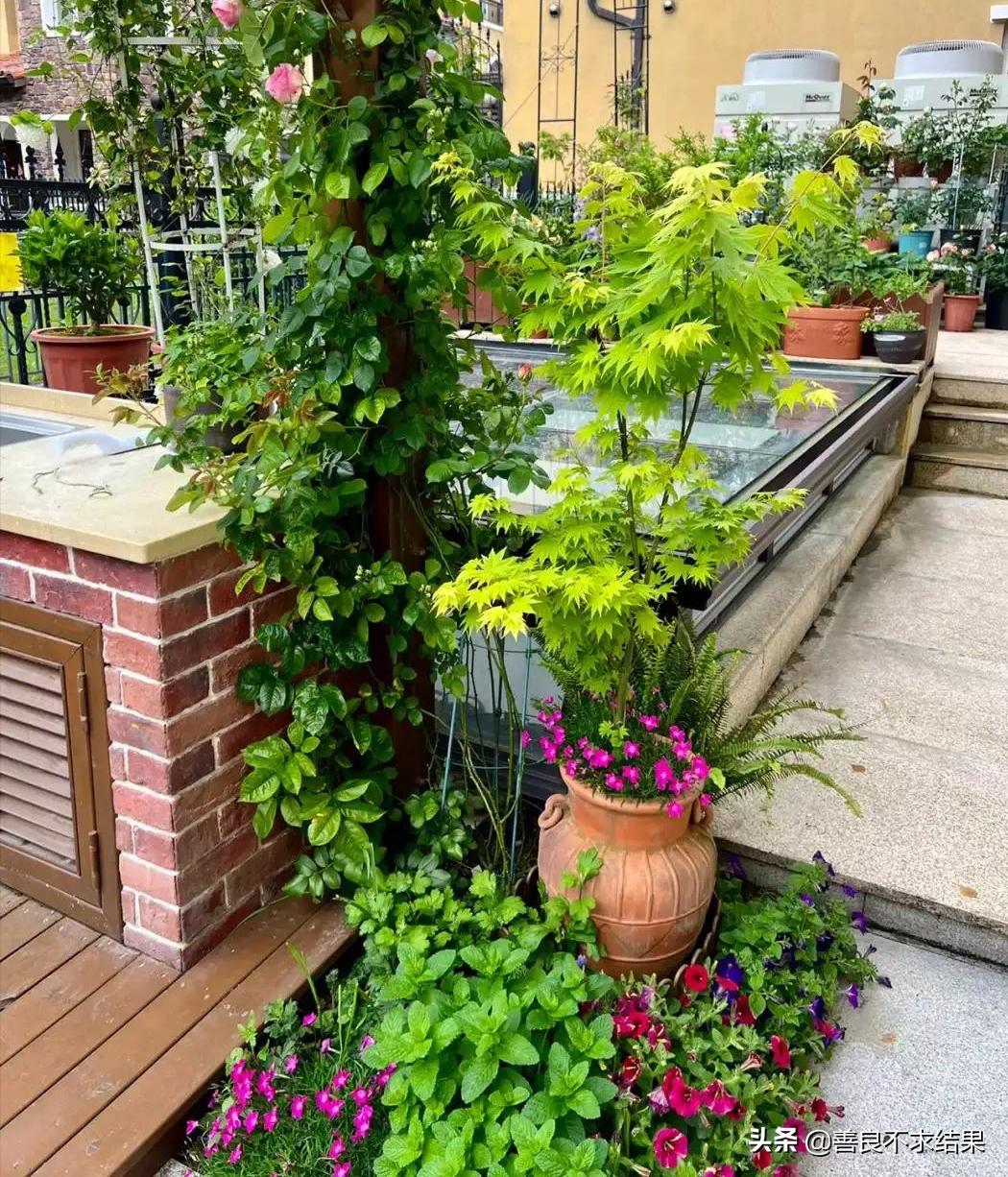 古朴的“农家小院”,总是备受人们喜爱