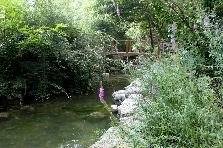 山东青州黄花溪景区图片,山东九寨沟黄花溪