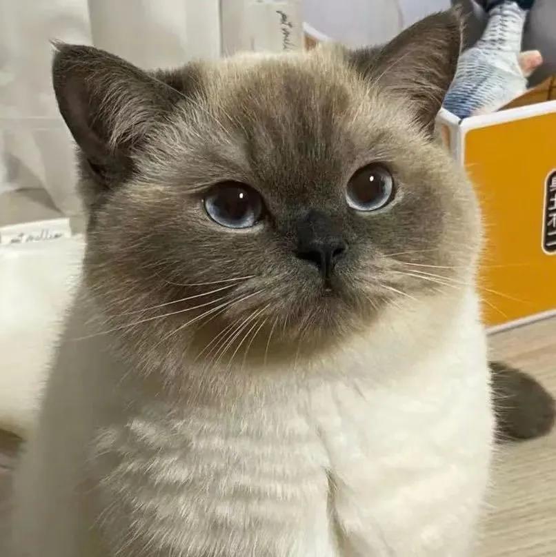 你究竟要我怎样薛之谦歌词,我知道你都知道薛之谦歌词