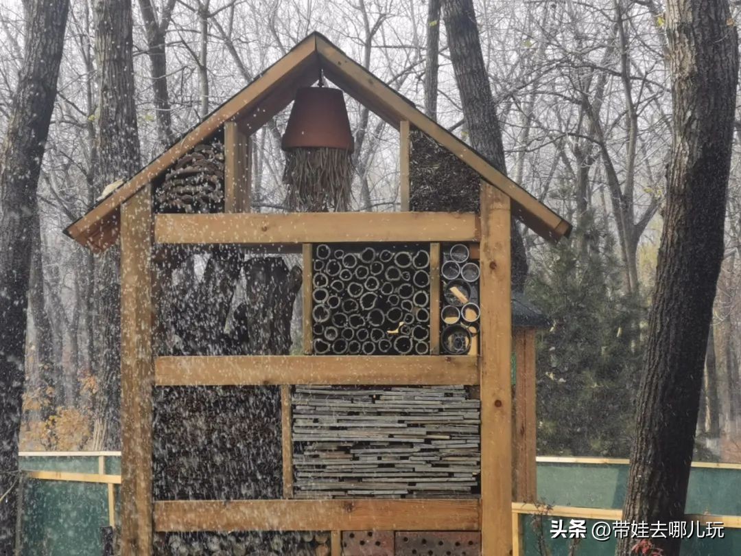 在森林公园里玩耍,中国可以骑行的森林公园