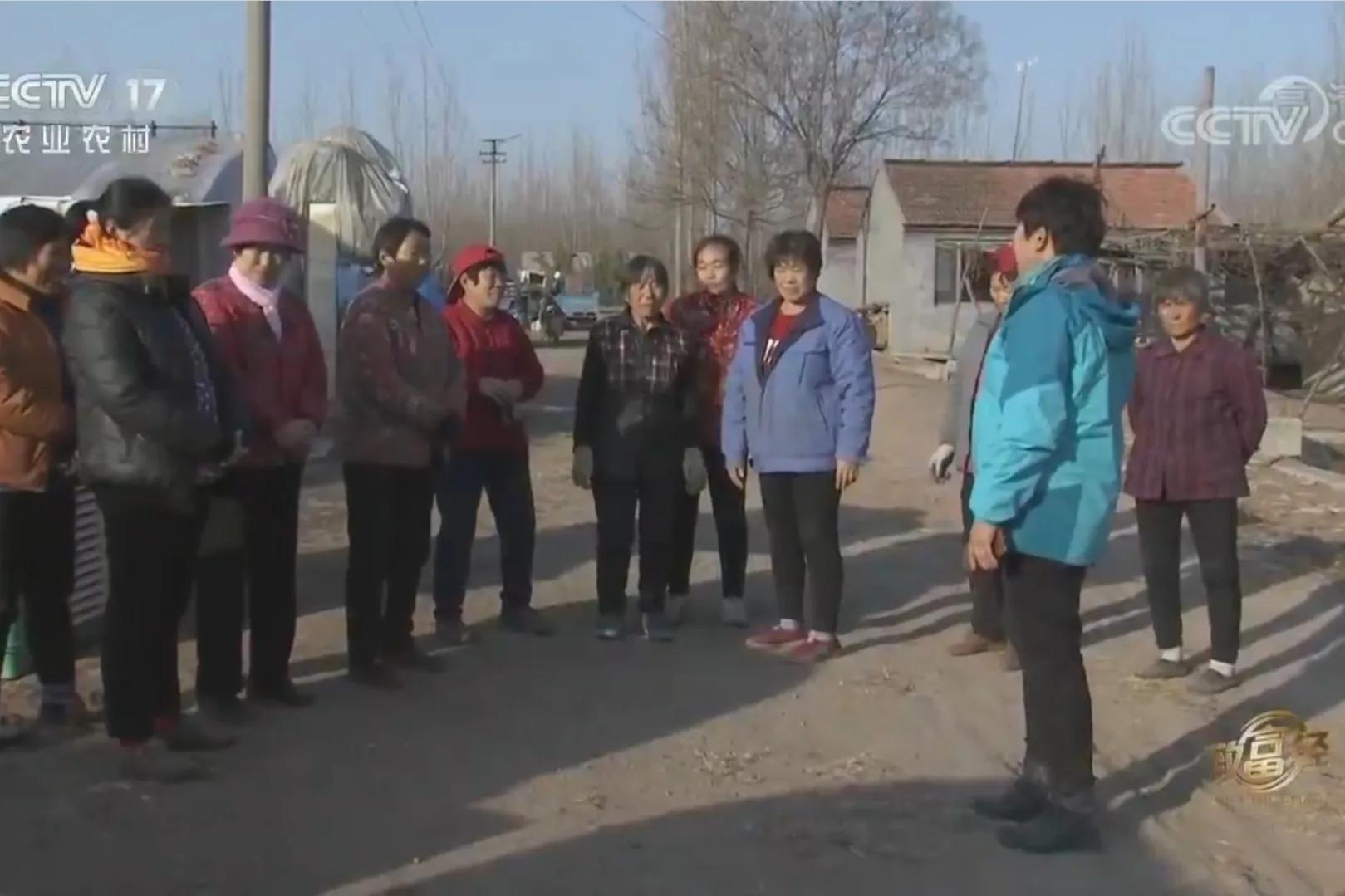 承包荒山致富的例子,美女承包52亩山地