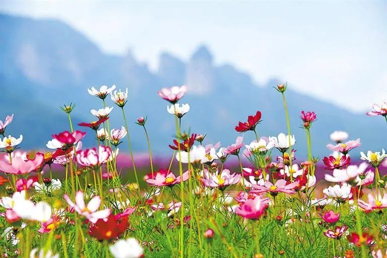 甘肃日报报道,你知道甘南有多美吗