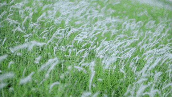 深圳小众打卡景点龙岗,2022深圳10个小众打卡地免费游玩