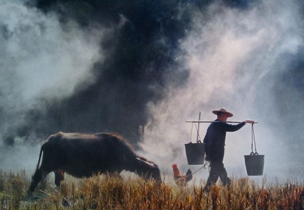 为什么普通人不能通过勤劳来致富,为何勤劳不能致富下一句
