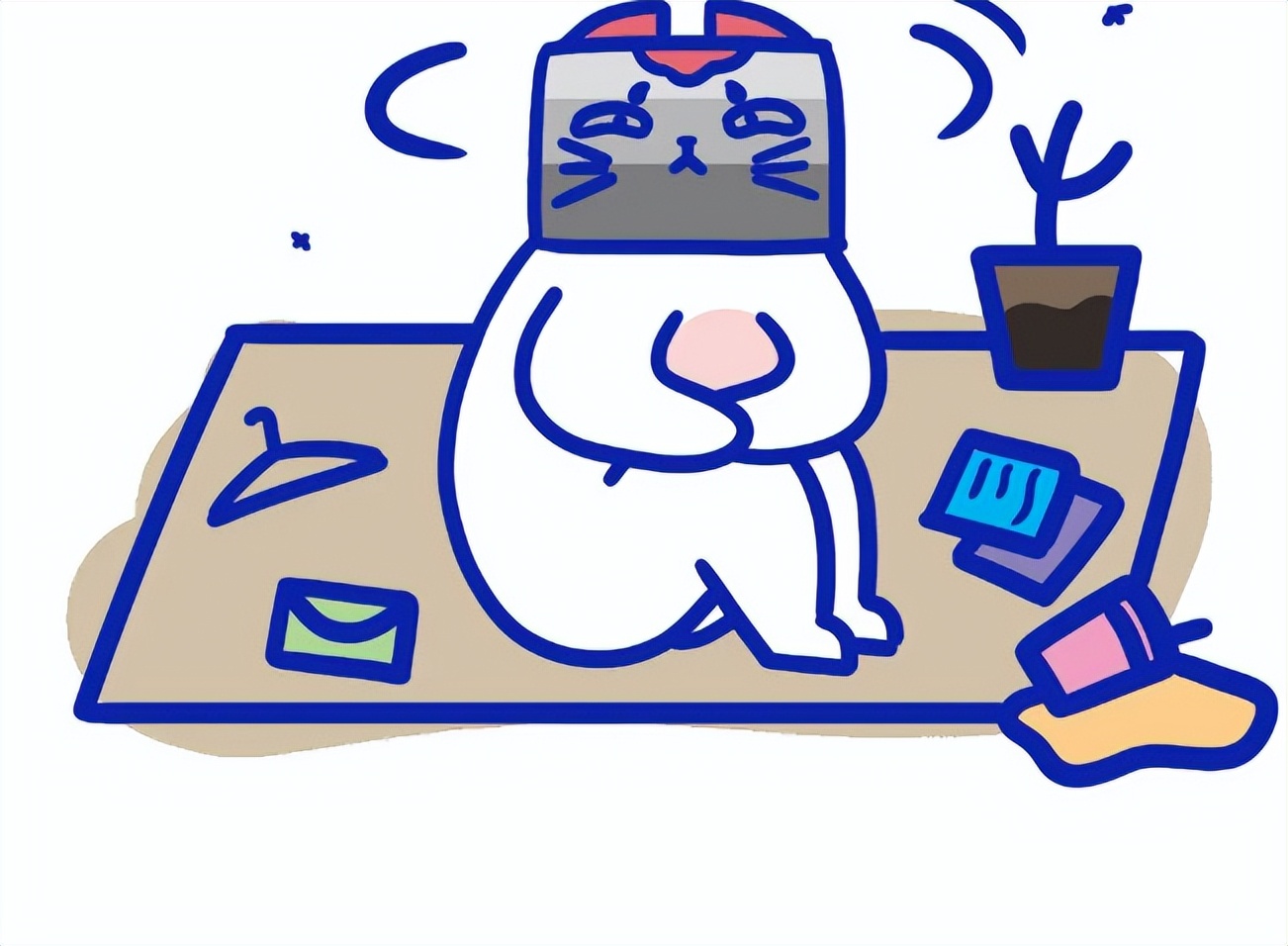 观察猫咪的技巧和方法,细心观察认真对待