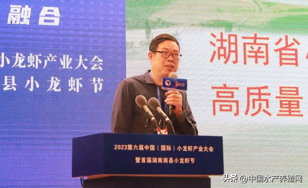 2023年南县小龙虾价格行情,南县小龙虾价格报价