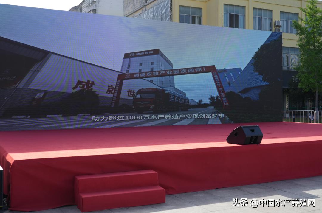 2023年南县小龙虾价格行情,南县小龙虾价格报价