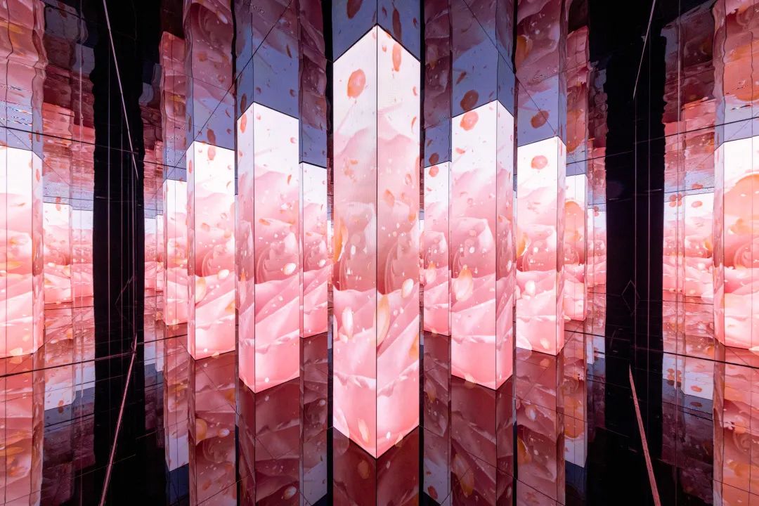 半个娱乐圈都来打卡的地方,半个娱乐圈都在打卡环球影城