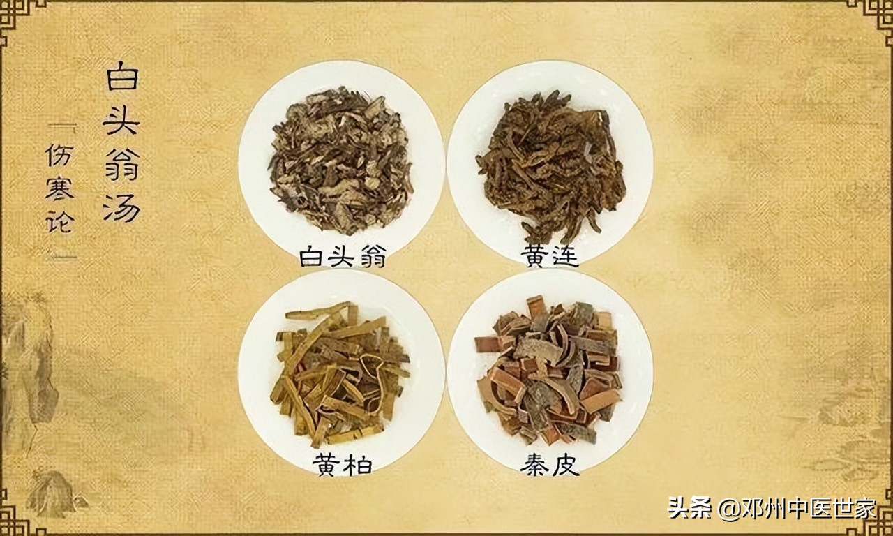 温白汤使用经验,白头功效