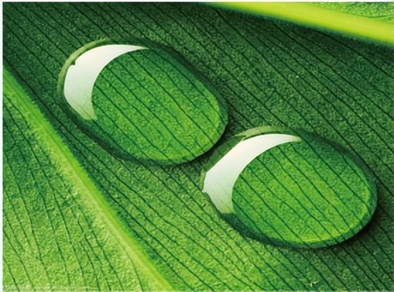 哈尔滨南岗区零模2024化学答案,哈尔滨南岗区零模2024物理答案