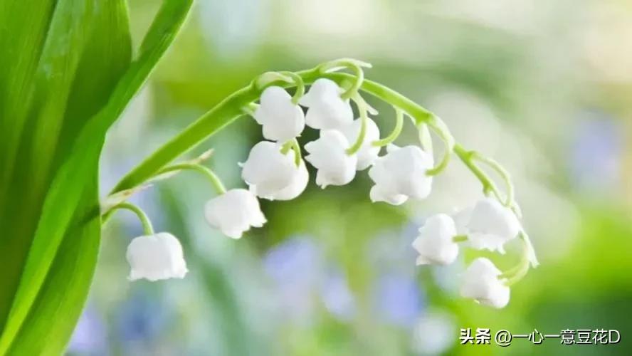 关于自律的七言古诗,廉洁自律七言诗书法