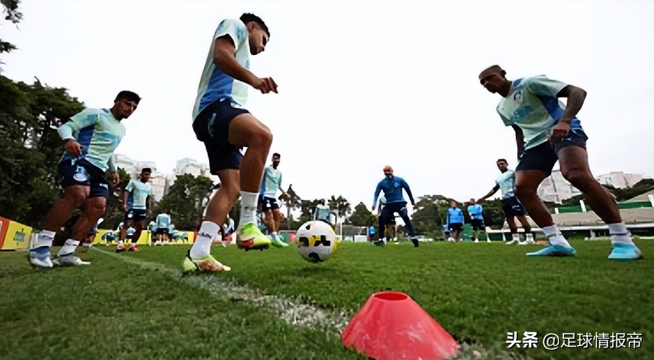 巴西圣保罗vs帕尔梅拉斯,巴西杯圣保罗对战帕尔梅拉斯